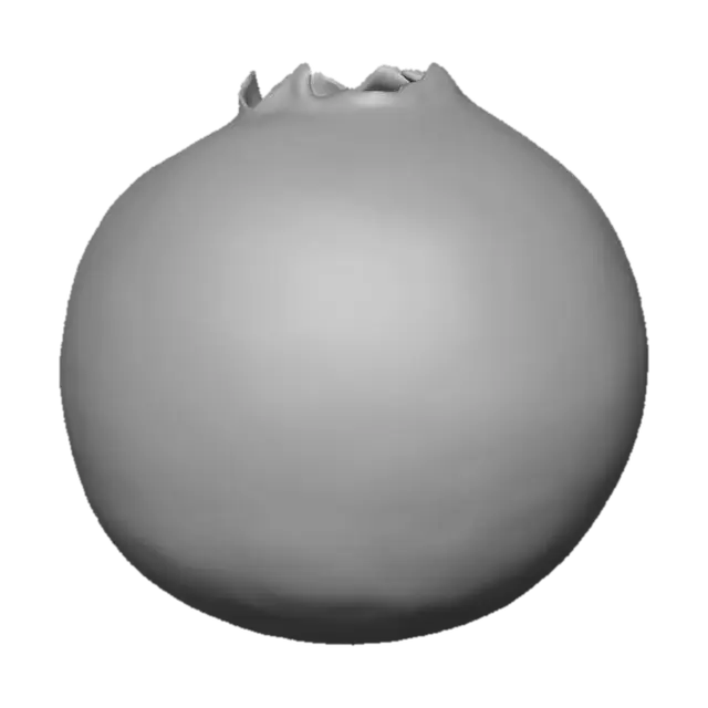 3D model for Blueberry