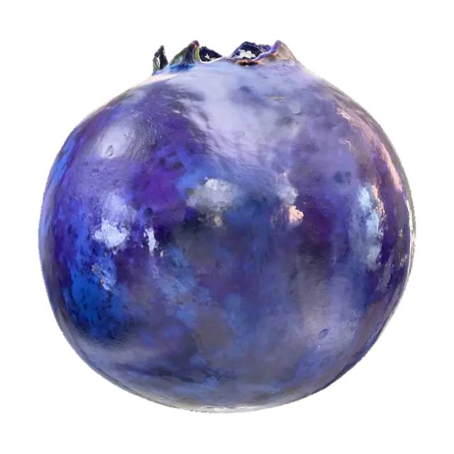 3D model for Blueberry