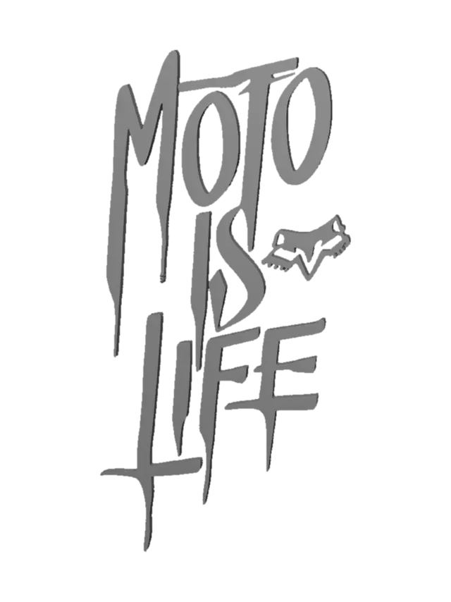3D model for Moto Is Life