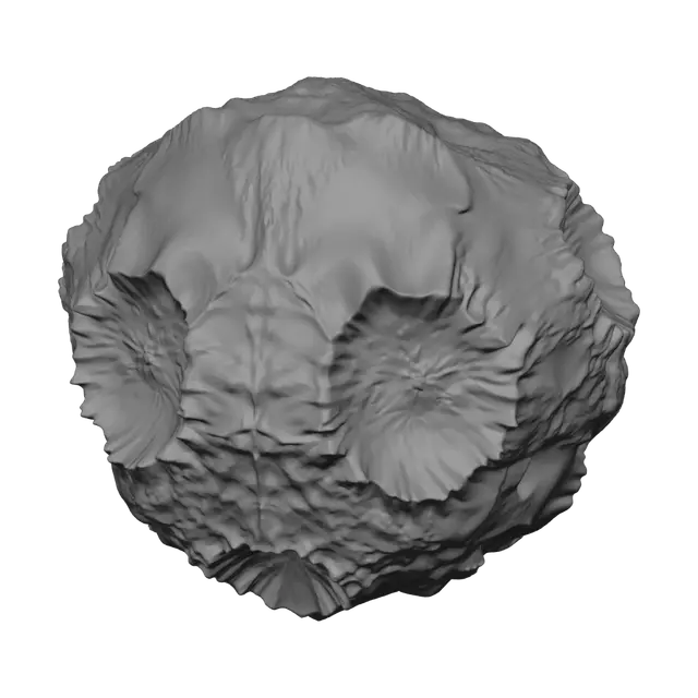 3D model for Asteroid