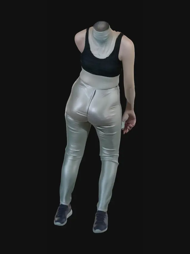 3D model for Silver Silhouette