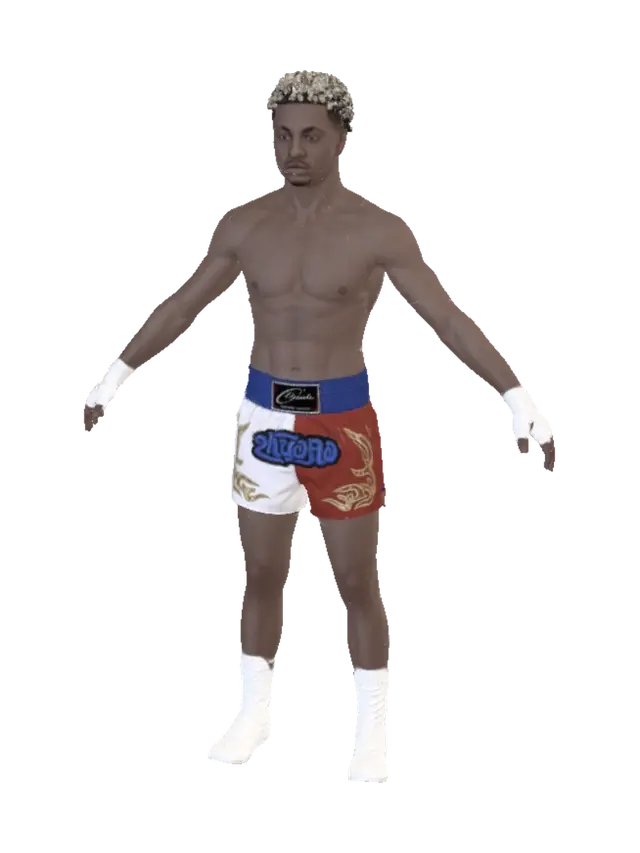 3D model for Dragon-Embroidered Boxer: Four-Angle Portrait