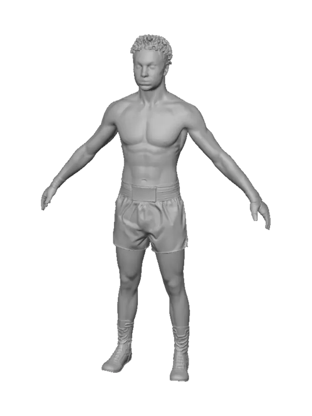 3D model for Dragon-Embroidered Boxer: Four-Angle Portrait