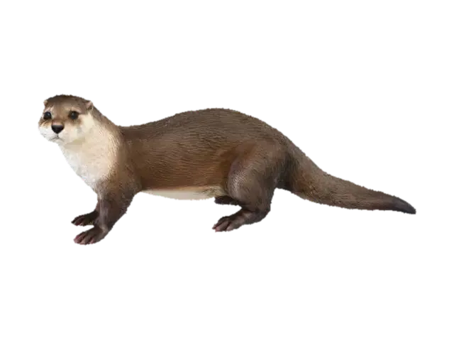 Lontra longicaudis - Species 3D model, vytvořený pomocí AI