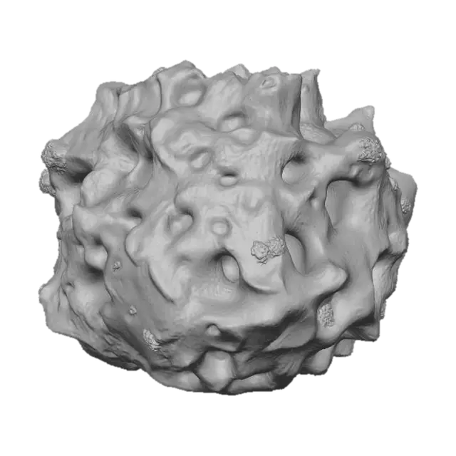 3D model for A professional, stylized 3D game asset of a medium-sized underwater rock. Jagged volcanic shape, with interesting holes and crevices. Covered in patches of glowing green algae and a few barnacles. PBR materials, clean geometry, isolated on a plain background.