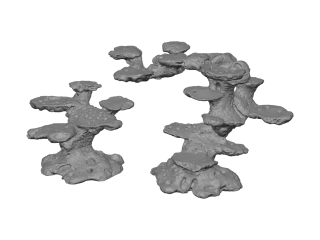 3D model for Twin Coral Towers