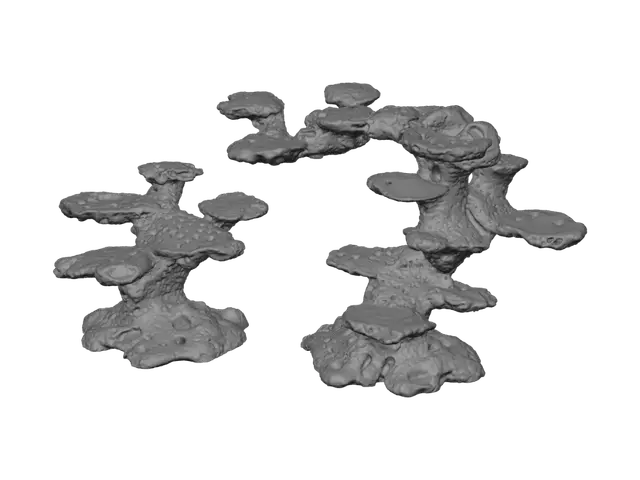 3D model for Twin Coral Towers