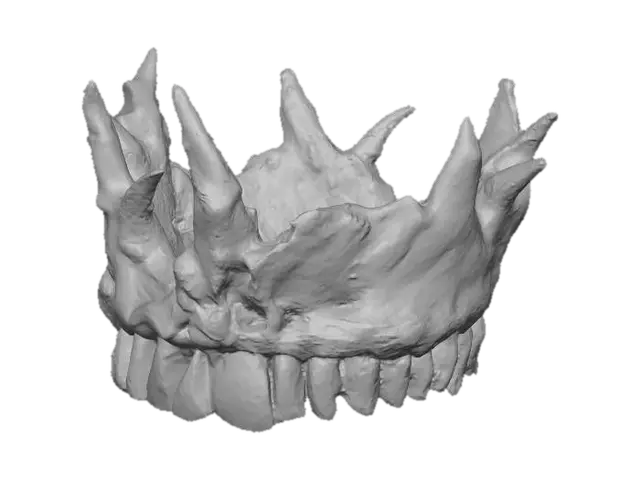 3D model for Teeth Bowl