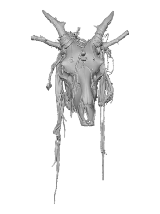 3D model for Animal Skull Relic