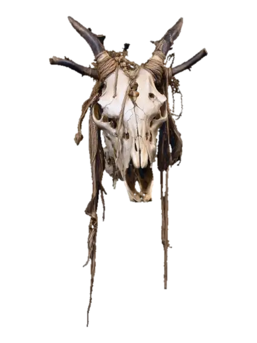 3D model for Animal Skull Relic