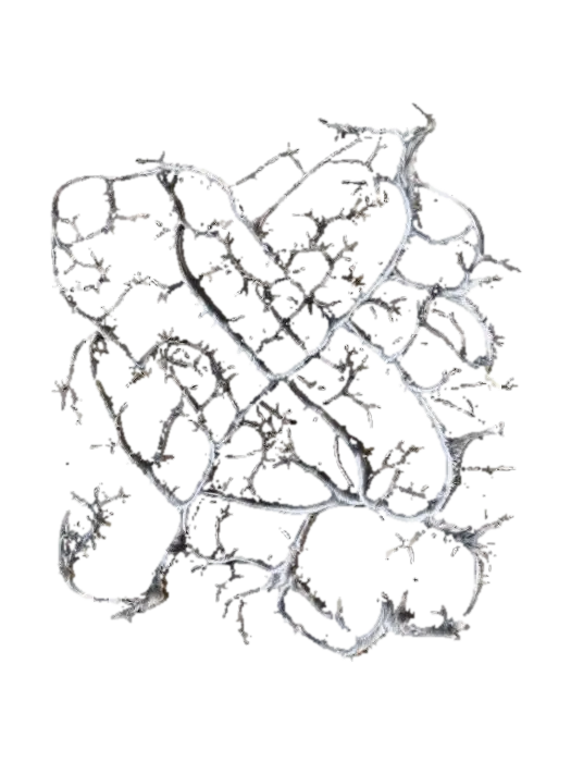 Thorny Pattern - Patterns 3D model, vytvořený pomocí AI