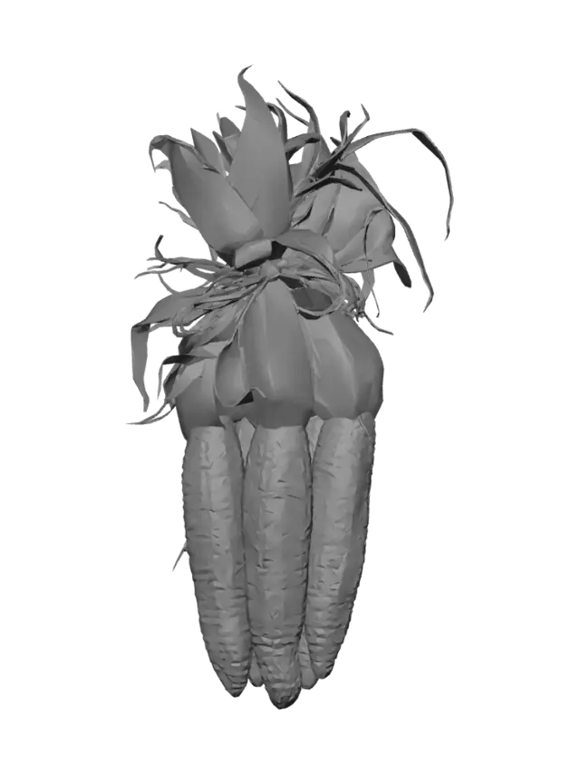 3D model for Three Dried Corn Ears