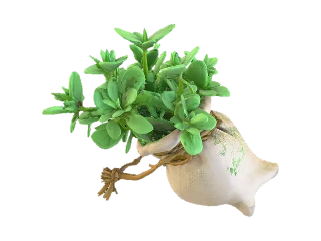 3D model for Low poly mint sprig bundle, collectible item, 
RPG inventory prop, hand-painted style, 
small herb pouch, fantasy game asset