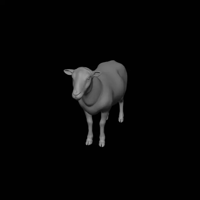 3D model for Black Faced Sheep