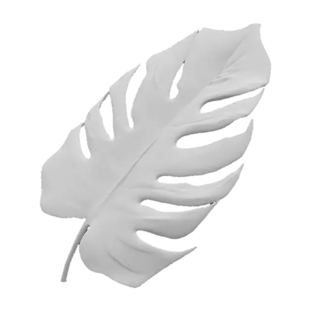 3D model for Monstera Elegance