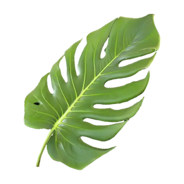 3D model for Monstera Elegance