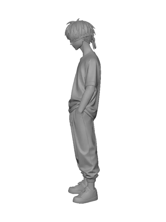 3D model for Veiled Vision