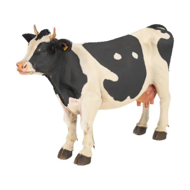 A Cow. 3D model, vytvořený pomocí AI