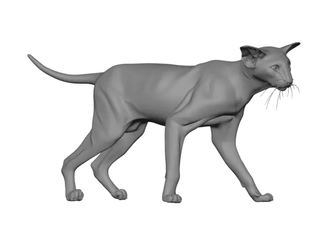 3D model for Orange Tabby Cat