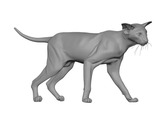 3D model for Orange Tabby Cat