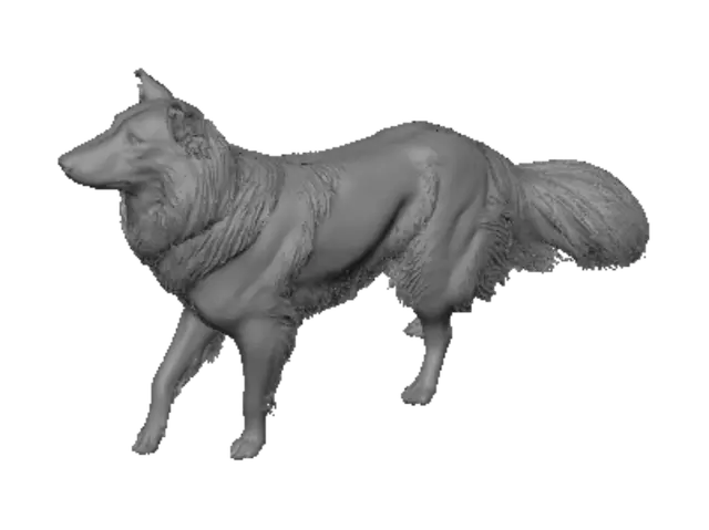 3D model for Collie in Motion