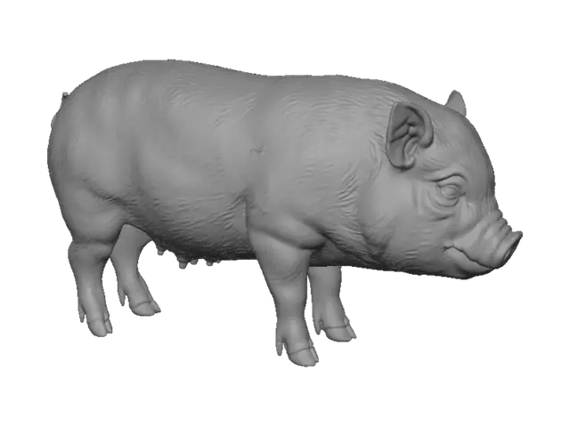 3D model for Patchwork Piglet