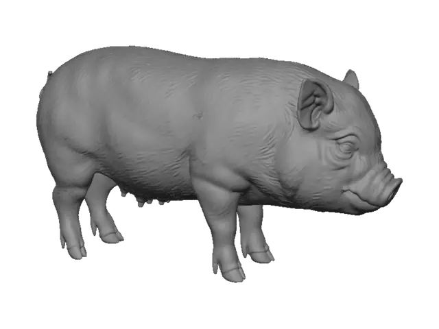 3D model for Patchwork Piglet