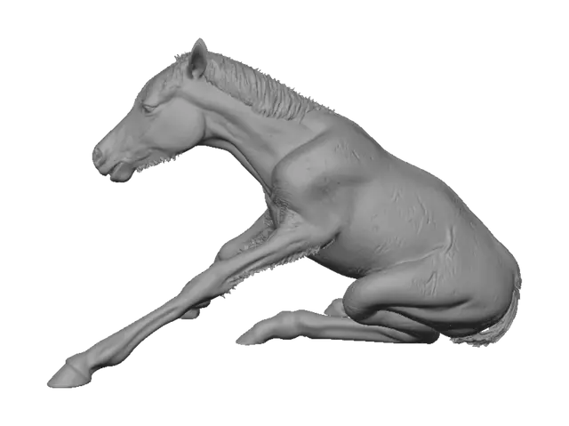 3D model for Wet Foal in the Stall