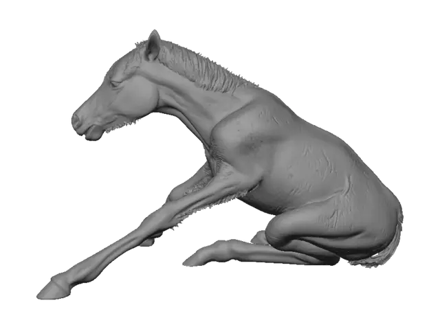 3D model for Wet Foal in the Stall
