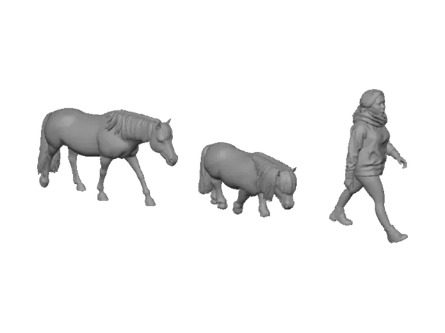 3D model for Stroll with Ponies