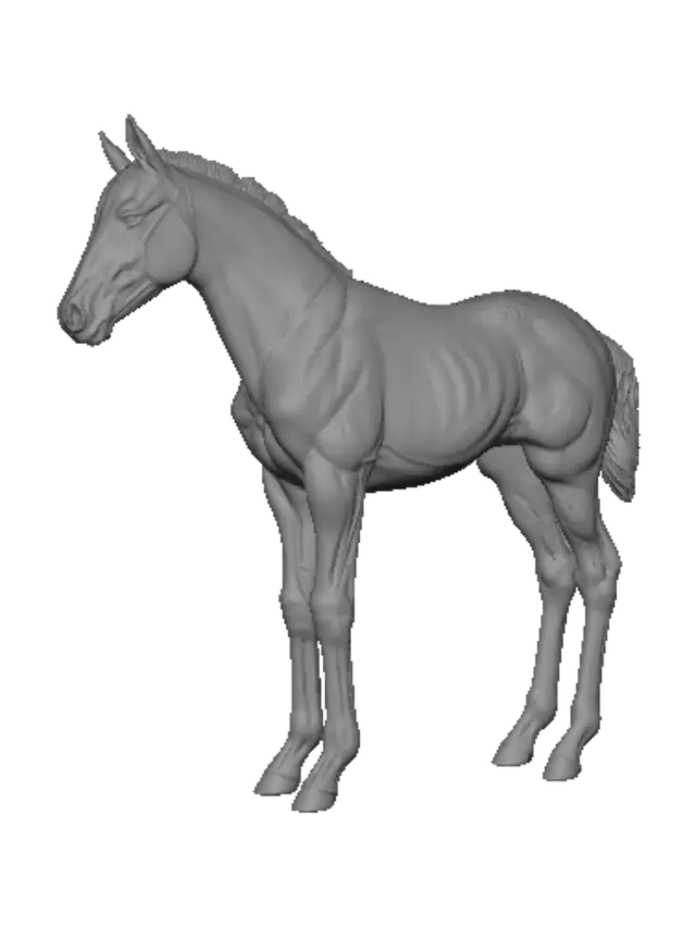 3D model for Meadowbound Foal