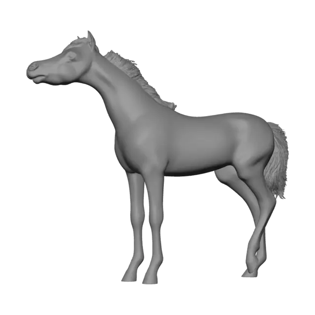3D model for Leopard Foal