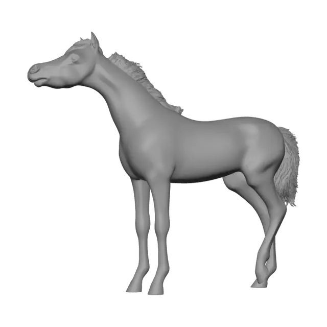 3D model for Leopard Foal
