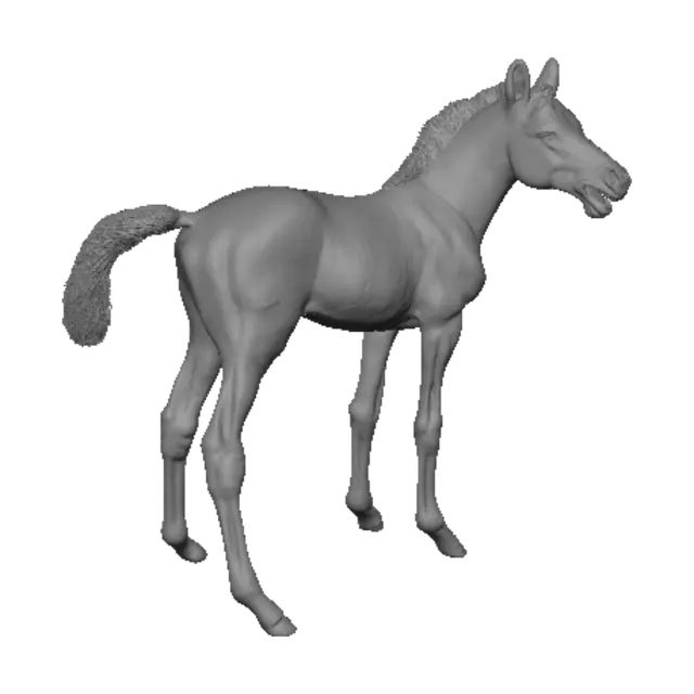 3D model for Grey foal in a paddock