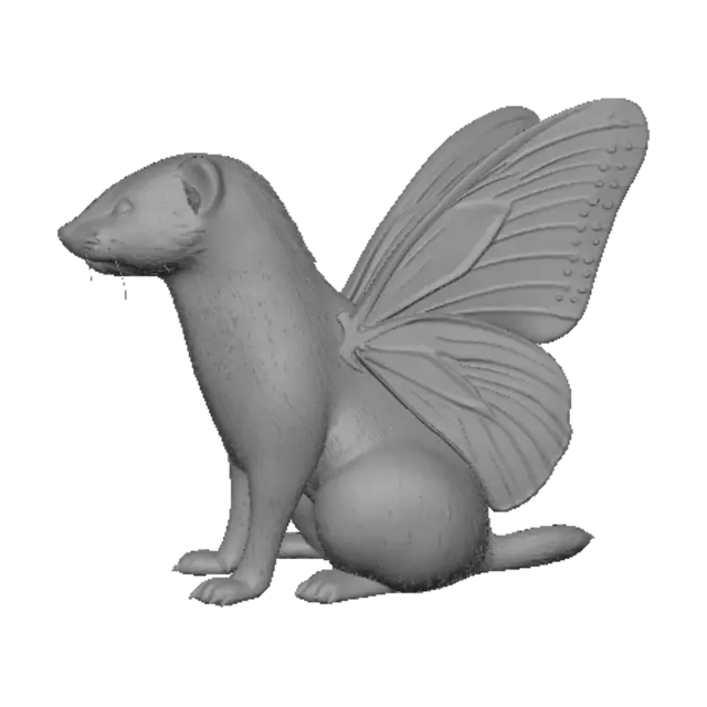 3D model for Butterfly-Winged Ferret