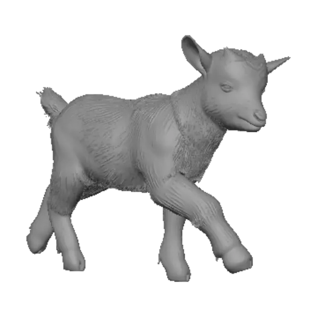 3D model for Curious Baby Goat