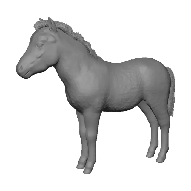 3D model for Shetlandpony Fohlen
Stehend
Von der Seite
Realistisch
