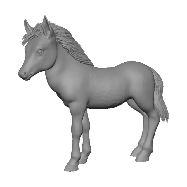 3D model for Shetland Pony Fohlen stehend, Ohren entspannt nach hinten gelegt
Realistisch