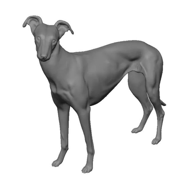 3D model for Brindle Grace