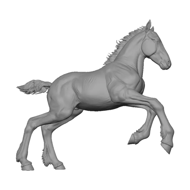 3D model for Galloping Companions