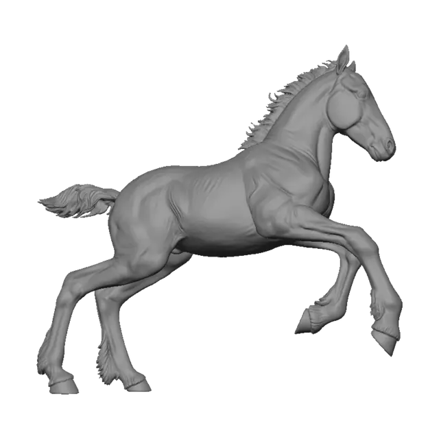 3D model for Galloping Companions