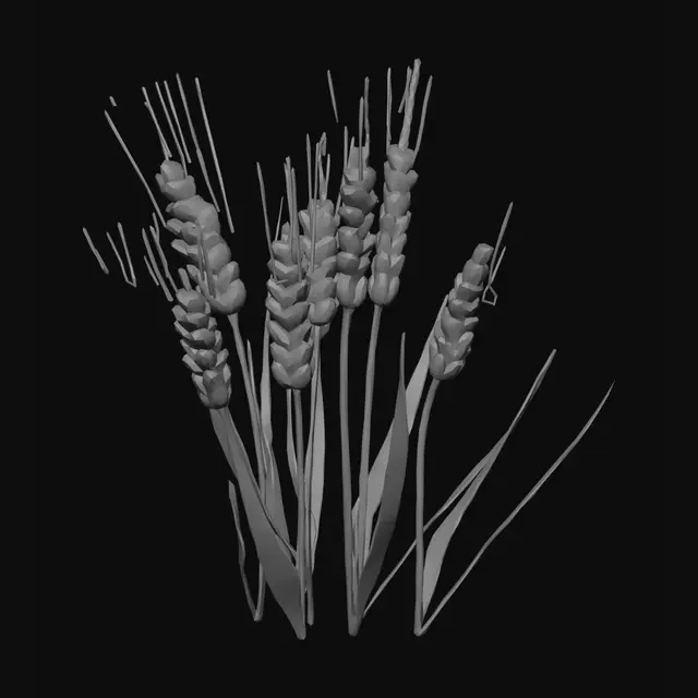 3D model for low poly wheat