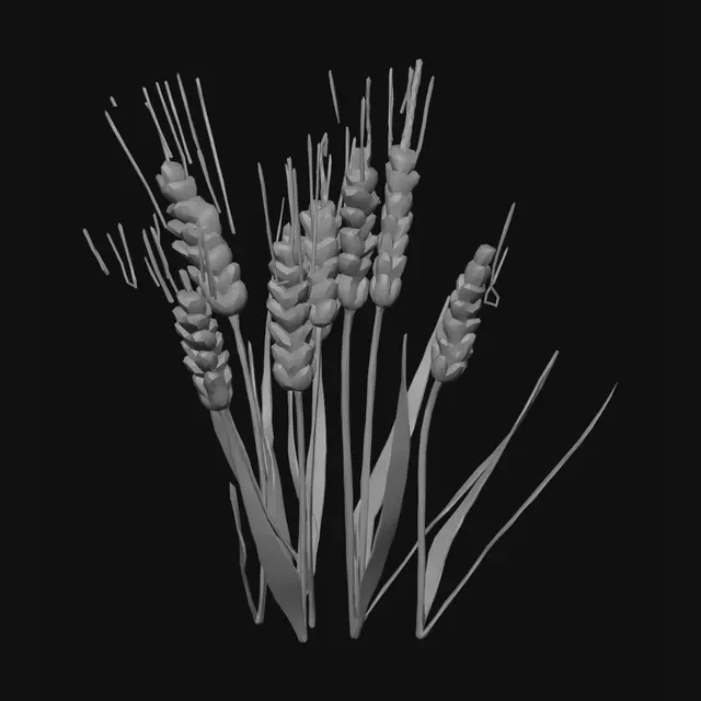 3D model for low poly wheat