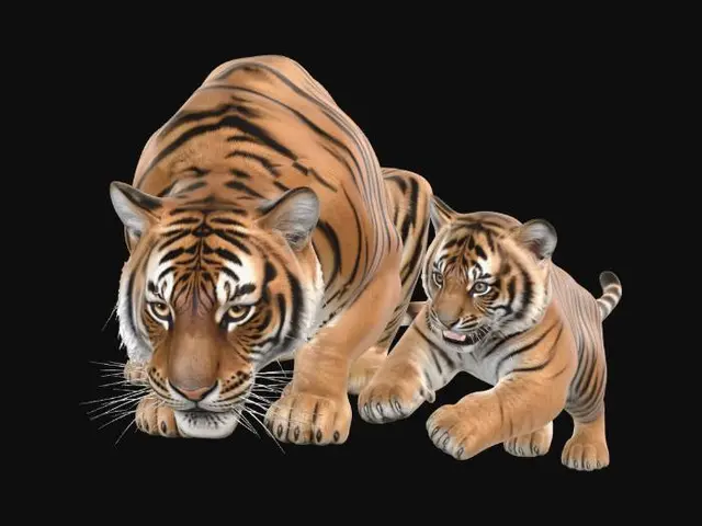 3D model for Tiger and Cub on the Prowl