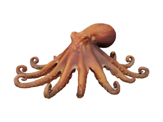 Octopus Oasis - Seaside 3D model, vytvořený pomocí AI