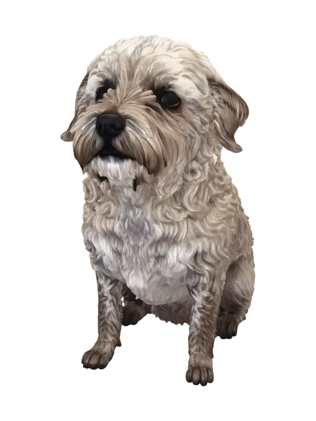Curious Poodle on a Purple Blanket 3D model, vytvořený pomocí AI