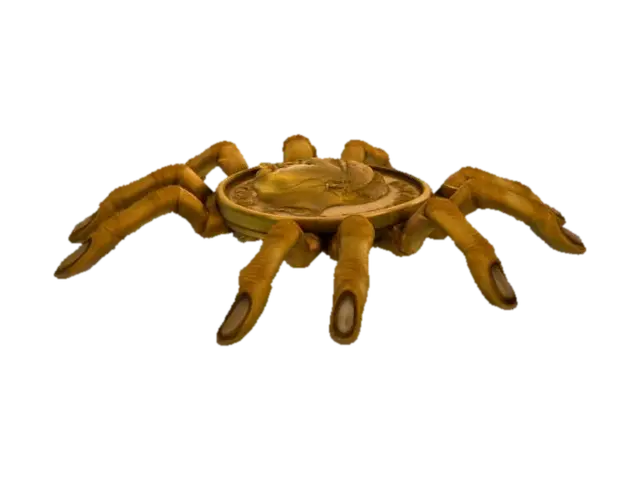 3D model for Arachnocoin
