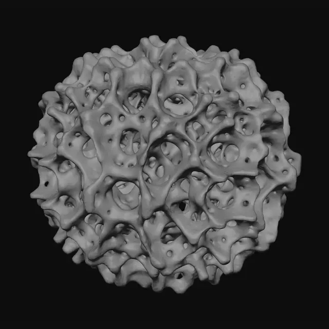 3D model for Honeycomb Coral Ball