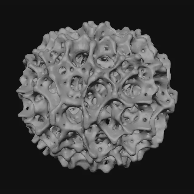 3D model for Honeycomb Coral Ball