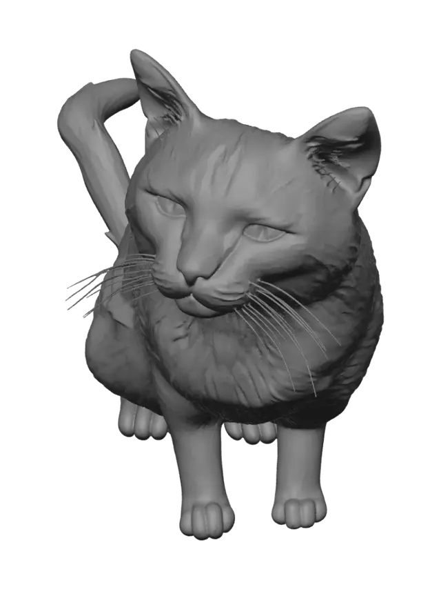 3D model for Amber Gaze